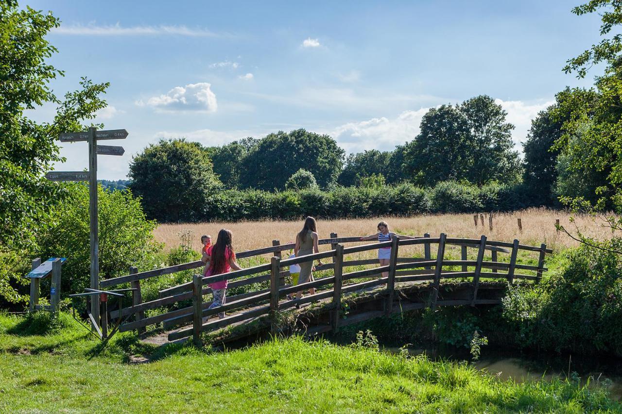 Buitenplaats De Mechelerhof Mechelen Dış mekan fotoğraf